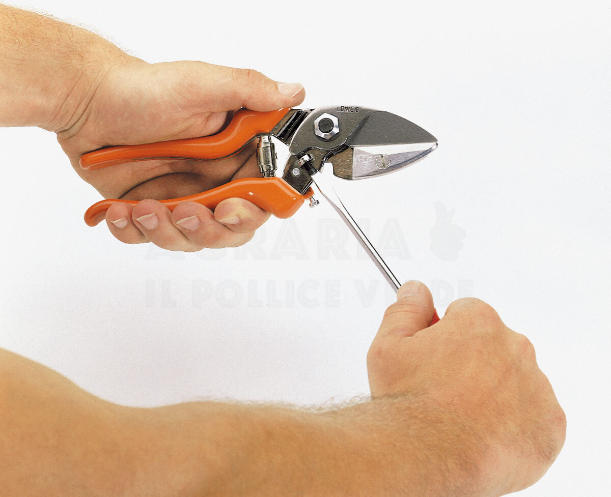 Forbice Löwe 6.104 - immagine 3