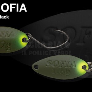 Ondulanti Nories Masukuroto Sofia