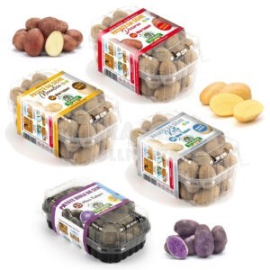 Minituberi Patate di Primura 50 Buche