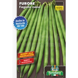 Semi Fagiolo Nano Mangiatutto Furore